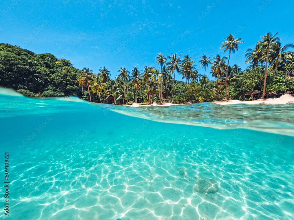 Tropical Island Palm and underwater Tropical Island Palm and underwater