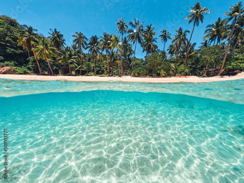Fototapeta Naklejka Na Ścianę i Meble -  Tropical Island Palm and underwater