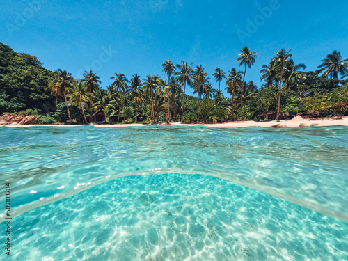 Tropical Island Palm and underwater