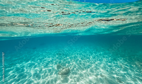 Tropical Island Palm and underwater