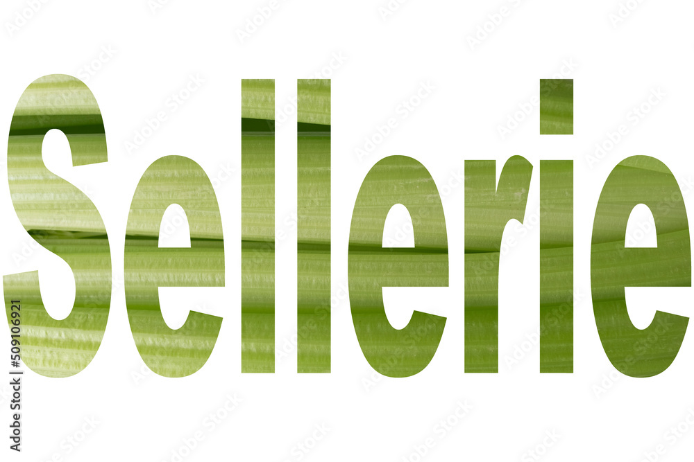 Word CELERY with transparency of juicy stalks of celery