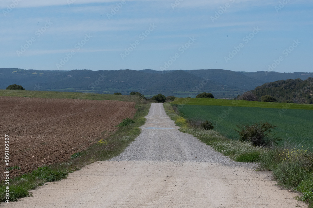 Obraz premium carretera de campo