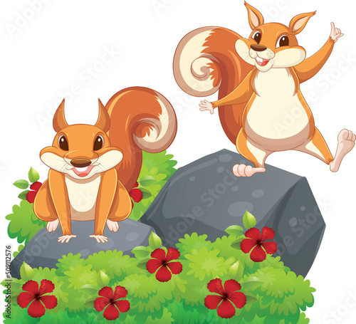 Two squirrels standing on rock