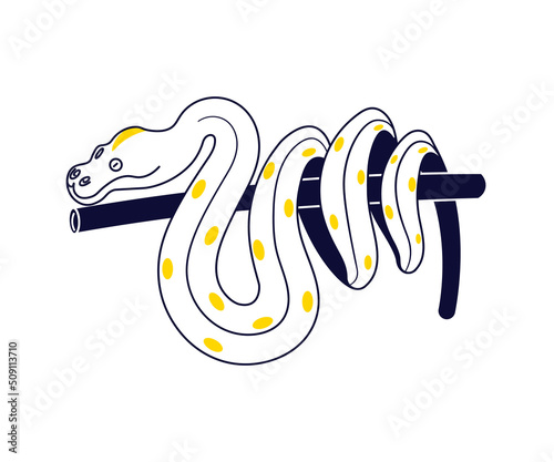 Cute boa on tree branch, stylized pet isolated