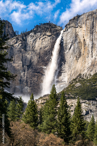 Yosemite National Park in the Summer - California, USA