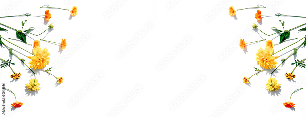 Flowers composition on white background with copy space. Flowers composition on white background with copy space.
