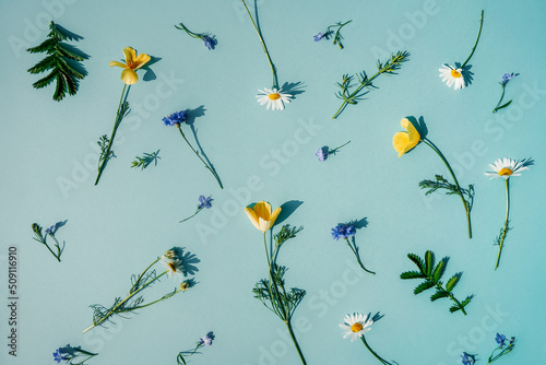 Floral pattern on blue background. Flat lay.