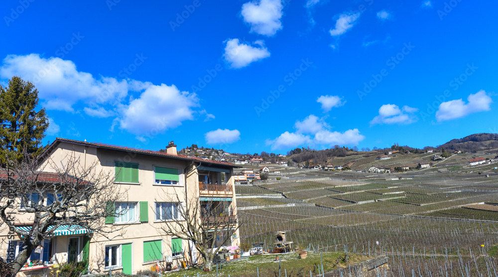 Grandvaux, Weinbaugebiet im Kanton Waadt in der Schweiz