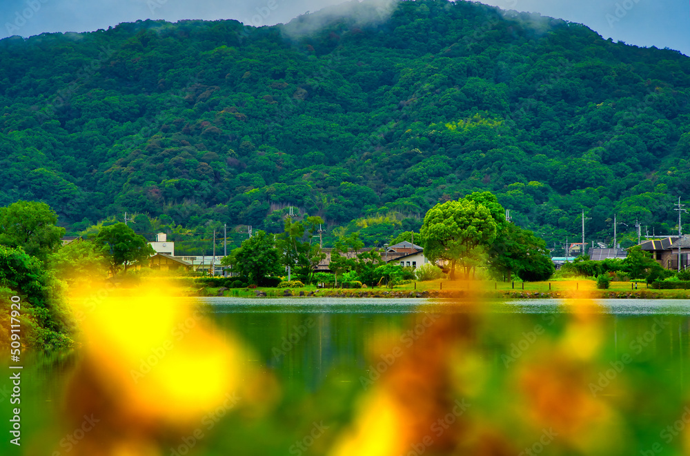 Obraz premium 平池緑地公園から見る山の風景