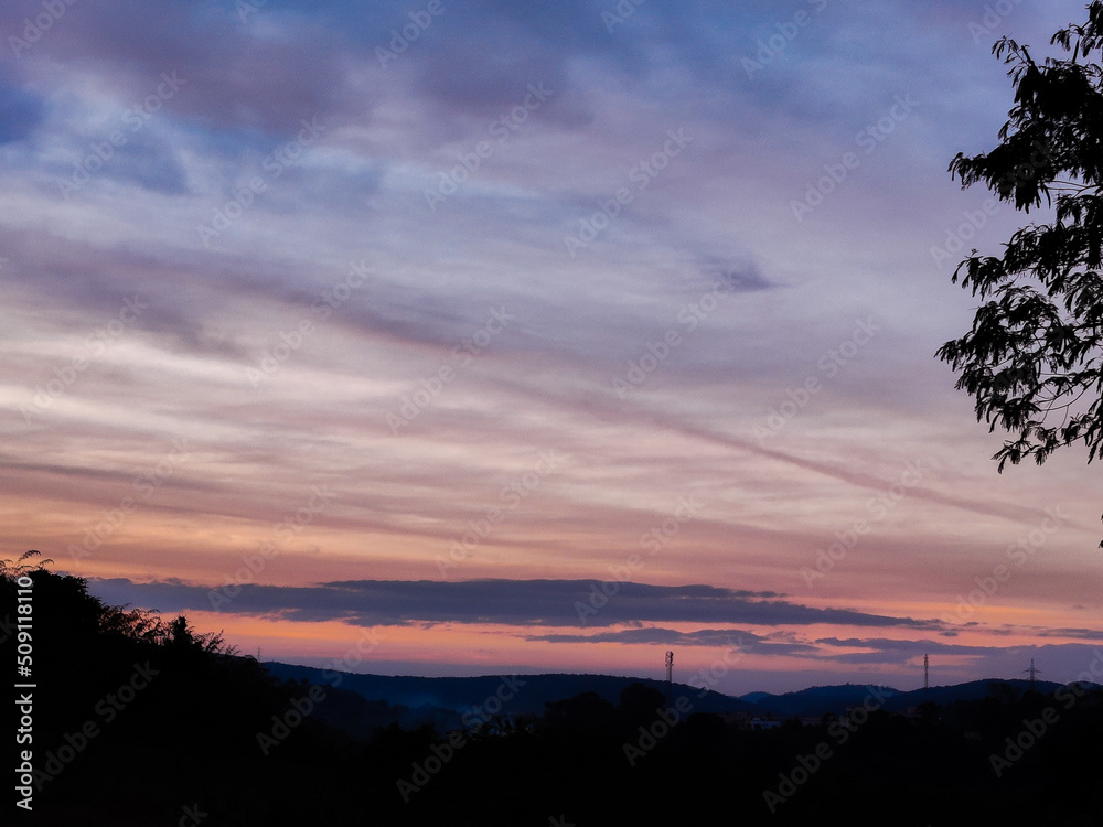 Fototapeta premium cloudy sunset in the forest