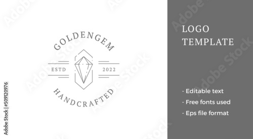 Monochrome gem treasure geometric frame elegant brilliant business line logo place for text vector