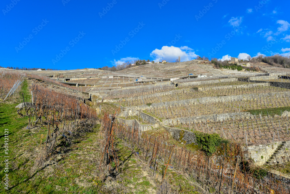 Das Lavaux, Weinbaugebiet im Kanton Waadt in der Schweiz