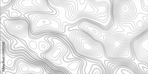 Black and white abstract background vector, Abstract topographic contours map background .Topographic background and texture, monochrome image. 3D waves. Marble texture with natural pattern .