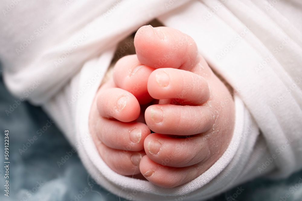 The tiny foot of a newborn. Soft feet of a newborn in a white blanket and on a blue background. Close up of toes, heels and feet of a newborn baby. Studio Macro photography. Woman's happiness The tiny foot of a newborn. Soft feet of a newborn in a white blanket and on a blue background. Close up of toes, heels and feet of a newborn baby. Studio Macro photography. Woman's happiness