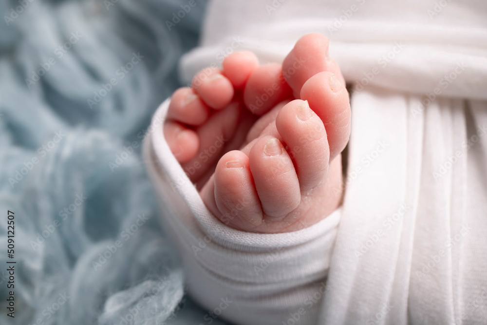 The tiny foot of a newborn. Soft feet of a newborn in a white blanket and on a blue background. Close up of toes, heels and feet of a newborn baby. Studio Macro photography. Woman's happiness The tiny foot of a newborn. Soft feet of a newborn in a white blanket and on a blue background. Close up of toes, heels and feet of a newborn baby. Studio Macro photography. Woman's happiness