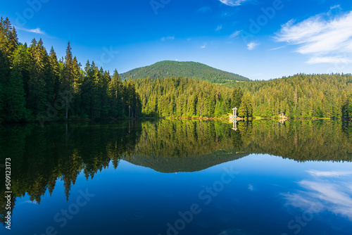 outdoor scene with calm lake in summer season. green forest reflection in the water. serene travel background of synevyr, ukraine. tranquil nature landscape