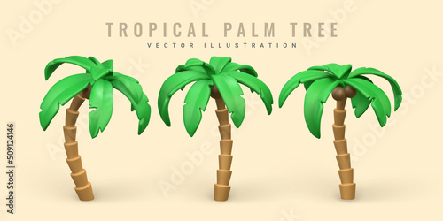 3D Cute cartoon tropical palm tree. Realistic jungle tree on white background. Summertime object. Vector illustration
