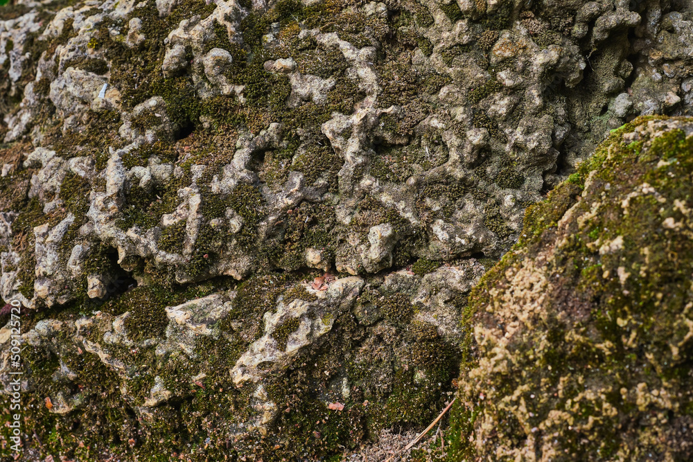 Rough sandstone texture overgrown with moss, close-up, selective focus. Background or banner idea, diversity of natural materials