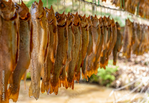 Smoked trouts