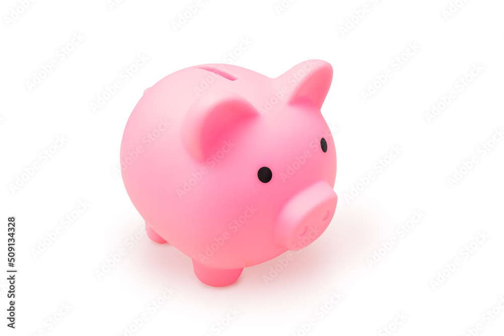 Pink piggy bank for banknotes and coins isolated on a white background. The concept of investment and financial savings for retirement and vacation
