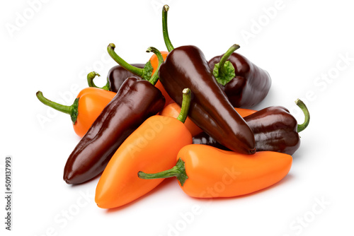 Heap of whole fresh orange and chocolate mini pointed bell peppers close up isolated on white background