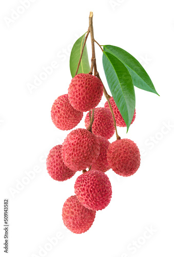 Bunch of Lychee isolate on white background. photo