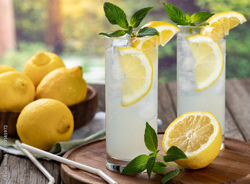 Two glasses of cold lemonade with rural background - obrazy, fototapety, plakaty 