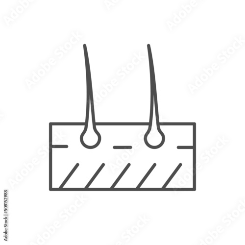 Hair scheme line outline icon