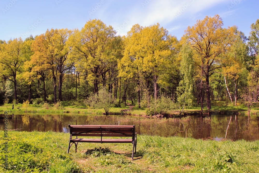 Wooden bench and dense green vegetation and trees on the lake in forest at autumn. Eco route in the reserve.Nature tourism and travel. Healthy hiking lifestyle. Walking in a city park. Ecology concept Wooden bench and dense green vegetation and trees on the lake in forest at autumn. Eco route in the reserve.Nature tourism and travel. Healthy hiking lifestyle. Walking in a city park. Ecology concept