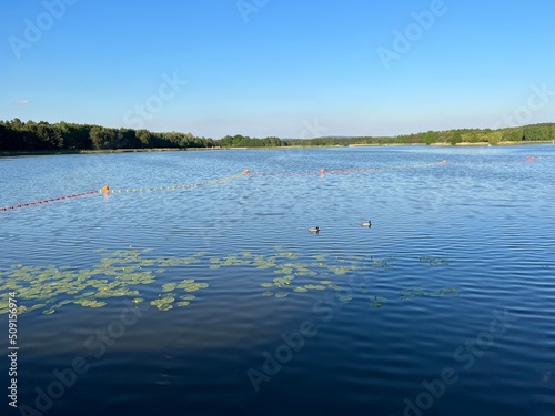 Zalew w Borkowie , Zalew koło Kielc  , Borków Zalew , Suków Zalew , Zalew Jezioro Suków , Jezioro Borków © Szymon