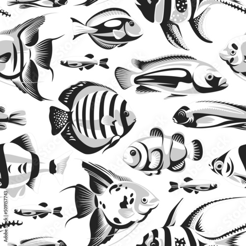 Seamless pattern with black and white fish isolated on a white background. Illustration of underwater life. 