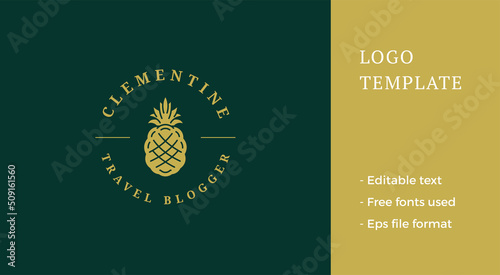 Minimalist golden pineapple line art logo with place for text design vector illustration