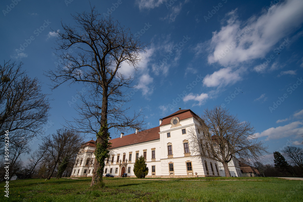 Fototapeta premium Eszterhazy Castle in Papa, Hungary