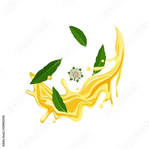 Vector illustration, oil splash with leaves and flowers of Eclipta Alba, Eclipta Prostrata or Bhringraj, also known as Fake Daisy, isolated on a white background.
