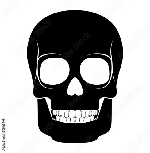 Skeleton Human skull silhouette head body bones - cranium, facial, calvaria, mandible front Anterior ventral view flat black color concept Vector illustration of anatomy isolated on white background photo