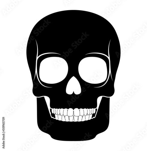 Skeleton Human skull silhouette head body bones - cranium, facial, calvaria, mandible front Anterior ventral view flat black color concept Vector illustration of anatomy isolated on white background