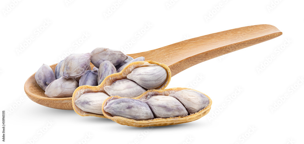 Peanuts isolated on white Peanuts isolated on white