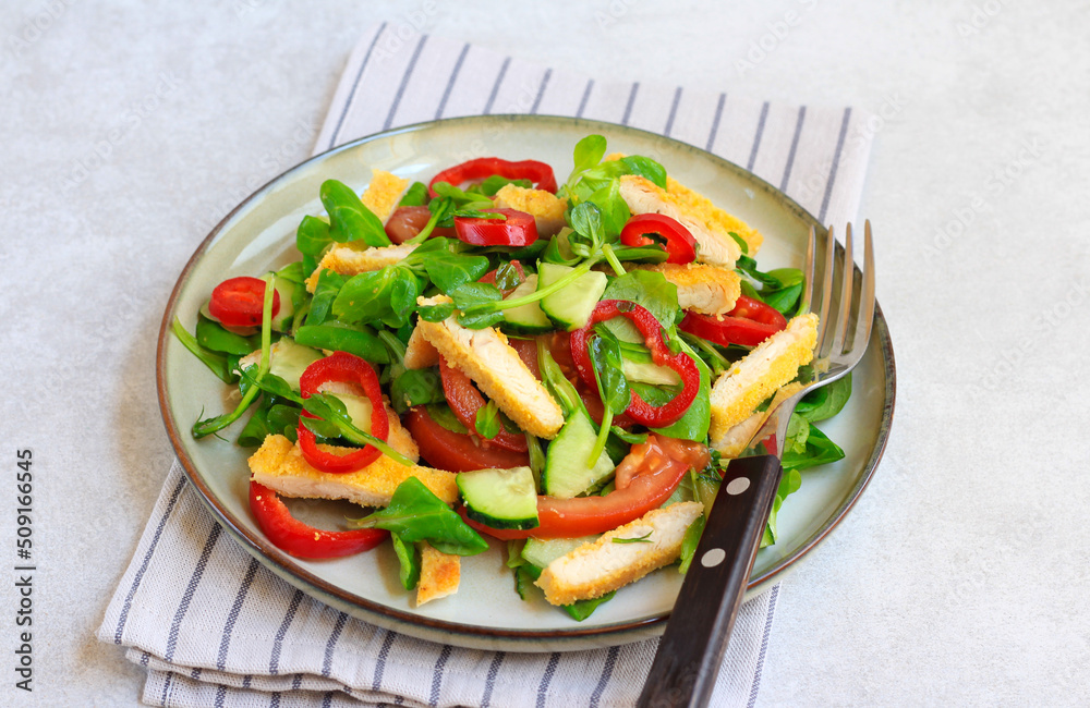 Fried chicken fillet and fresh vegetables salad Fried chicken fillet and fresh vegetables salad