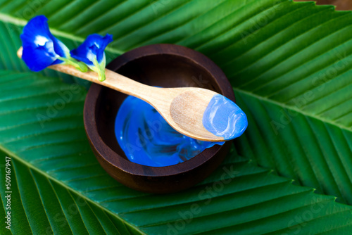 Butterfly pea and blue color