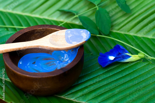 Butterfly pea and blue color