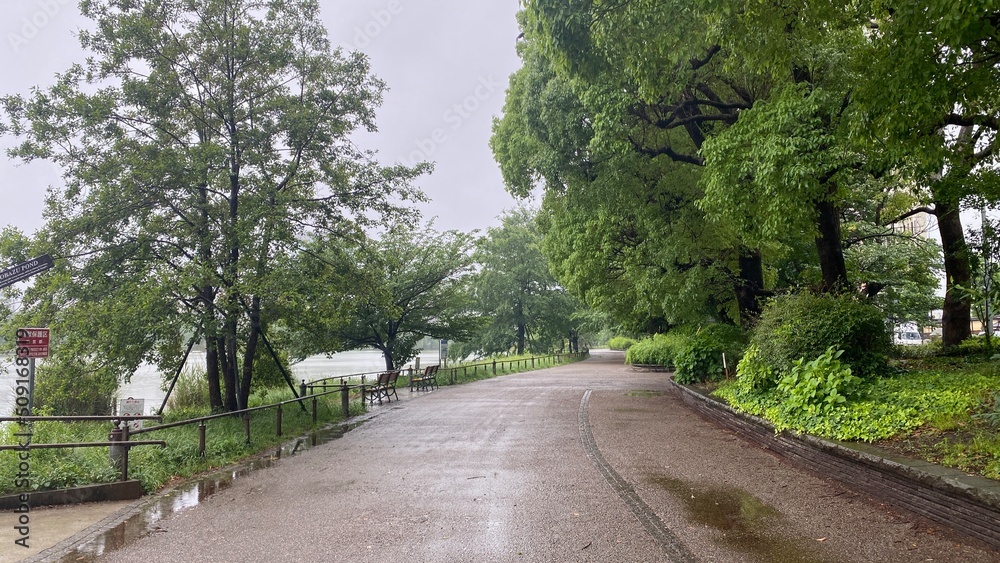 Rainy path at the park of Ueno Tokyo Japan, summer breeze rainy season year 2022 June 6th
