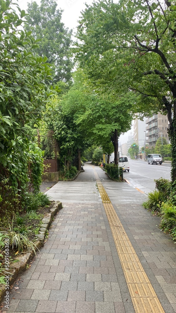 Rainy path at the sidewalk of the street of Ueno Tokyo Japan, downtown city walk, year 2022 June 6th, rainy day
