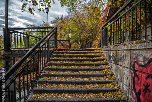 Old stairs in Taganrog in autumn leaves. photo