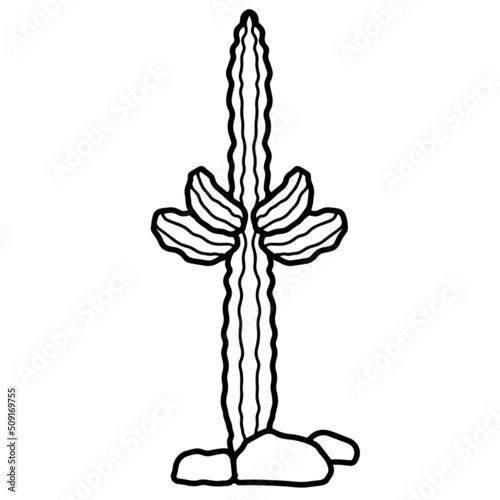 Digital illustration of cactus
