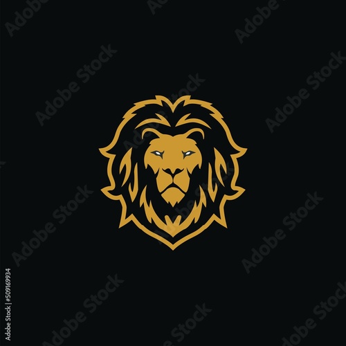 Fototapeta Naklejka Na Ścianę i Meble -  Vector illustration of a lion logo, emblem design.