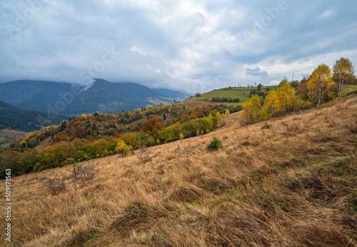 Cloudy and foggy day autumn mountains scene. Peaceful picturesque traveling, seasonal, nature and countryside beauty concept scene. Carpathian Mountains, Ukraine.