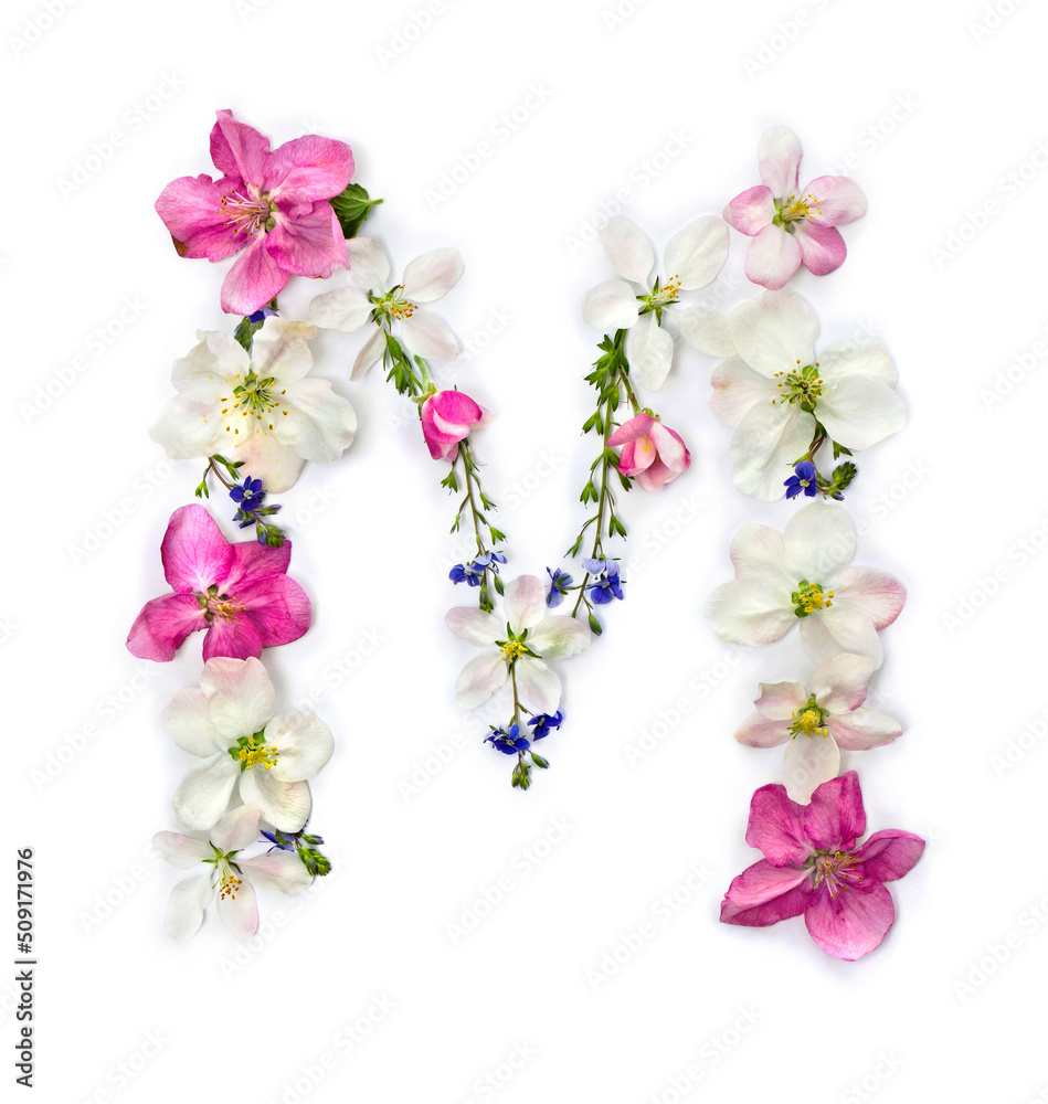 Letter M of flowers apple tree and blue wildflowers forget-me-nots on white background. Top view, flat lay