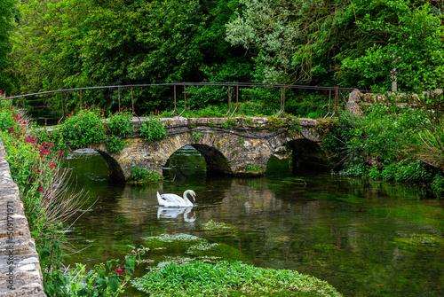 Obraz na plátne Peaceful swan swimming by stone footbridge