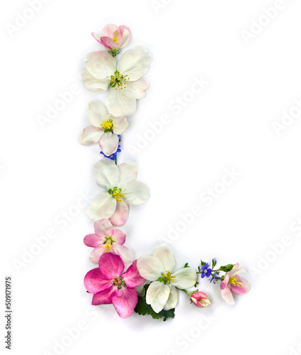 Letter L of flowers apple tree and blue wildflowers forget-me-nots on white background. Top view  flat lay