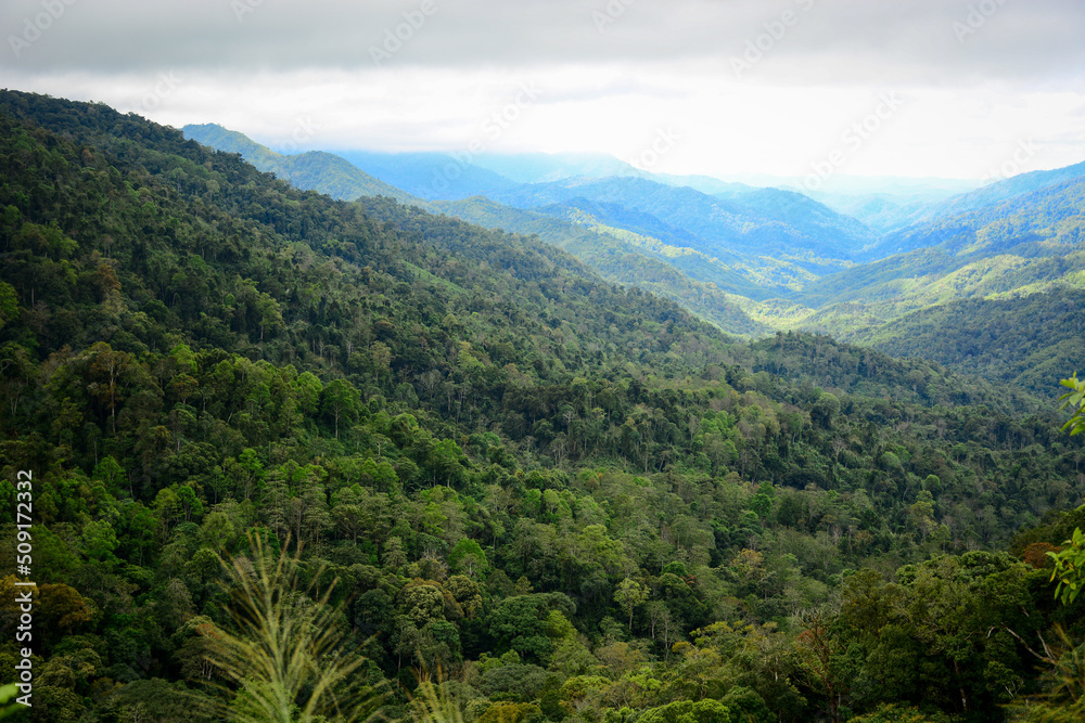 Naklejka premium landscape with clouds